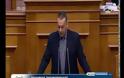 Χρυσή Αυγή: Ξεσκεπάσαμε τους κλέφτες της “Νέας Πασοκρατίας” [video]