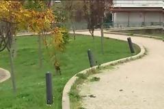 Απαράδεκτοι βανδαλισμοί στο Πάρκο Τσαλτάκη και στην πλατεία Άνω Καλυβίων [video]