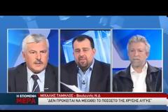 Μ.Ταμήλου: Οι επιθέσεις της Χρυσής Αυγής σε αλλοδαπούς βόλευαν την ΝΔ