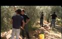 Μπρούσκο: Τα νέα επεισόδια 35ο εως 39ο (video)