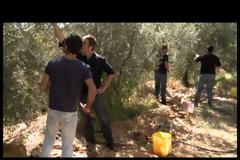 Μπρούσκο: Τα νέα επεισόδια 35ο εως 39ο (video)
