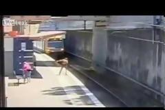 Ηλικιωμένος πέφτει κατά λάθος στις ράγες την ώρα που έρχεται το τρένο [video]