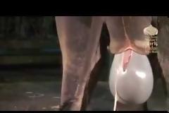 Συγκλονιστικό video:Καρέ-καρέ η γέννηση ενός ελέφαντα