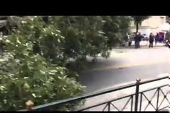 ΚΛΕΙΣΤΗ Η ΣΤΑΔΙΟΥ ΑΠΟ ΠΤΩΣΗ ΔΕΝΔΡΟΥ (VIDEO)