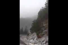 Τα πρώτα χιόνια στα ορεινά του νομού Ιωαννίνων [video]