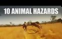 10 ζώα που δεν θες να συναντήσεις στο δρόμο σου [Video]