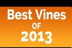 Τα καλύτερα Vines του 2013 [Video]