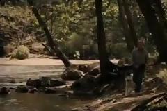 Σκύλος επιστρέφει εκεί που έχασε τη ζωή του το αφεντικό του εδώ και πέντε χρόνια [photos&video]