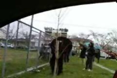 Πως πανηγυρίζει ένας παπάς στα Τρίκαλα όταν βάζει γκολ η ομάδα του; [video]