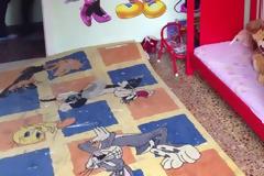 Τα επεισόδια στο Κερατσίνι [Video]
