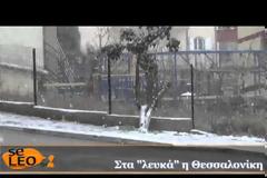 Οδοιπορικό στα χιονισμένα ορεινά της Θεσσαλονίκης [Video]