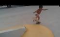 Μπόμπιρας κάνει τρελά κόλπα με το skateboard [video]