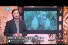 Η λαϊκή υστερία για την πικραγγουριά που θεράπευε τον καρκίνο