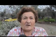 Λαμία: Σκότωσαν περισσότερα από δέκα σκυλιά
