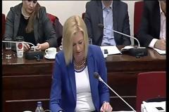 Ομιλία της Ραχήλ Μακρή στην Επιτροπή Παραγωγής και Εμπορίου