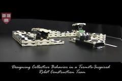 Επιστήμονες κατασκεύασαν robots που μιμούνται τις αποικίες των τερμιτών [Video]