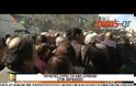Ουρές για ένα σουβλάκι στη Βαρβάκειο