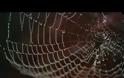 Ο Spiderman γίνεται πραγματικότητα; [video]