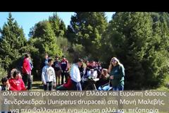 Δράσεις περιβαλλοντικής ευαισθητοποίησης με αφορμή Ημέρες Περιβαλλοντικού ενδιαφέροντος για τον μήνα Μάρτιο