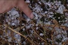 Έντονη χαλαζόπτωση χτύπησε τη Στυλίδα [video]