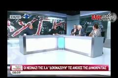 Πολιτικός παραλογισμός ή εκβαρβαρισμός; Το πρόβλημα (Χ.Α.) και οι επεμβάσεις που το διαιωνίζουν!