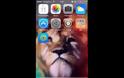 FullFolder: Cydia tweak new free