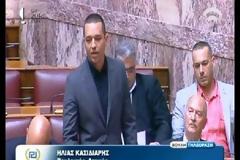 Ο Ηλίας Κασιδιάρης στην Ολομέλεια για τις λαϊκές αγορές (βίντεο)