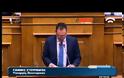 Γ. ΣΤΟΥΡΝΑΡΑΣ: ΚΑΤΑ ΒΑΘΟΣ ΜΑΣ ΘΑΥΜΑΖΕΤΕ κ. ΤΣΙΠΡΑ (VIDEO)