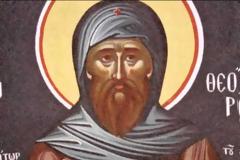 Εορτή του Οσίου Θεοδώρου, του Ηγιασμένου