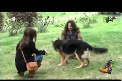Θυμάστε τον υποψήφιο με το σκισμένο τζιν που είδαμε στους Ράδιο Αρβύλα; Σάρωσε τη Δράμα και βγήκε πρώτος σε σταυρούς! [video]