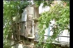 Έκοψαν, χωρίς άδεια, πλατάνια στις όχθες της Έρκυνας στη Λιβαδειά [video]