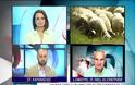 Αγωνιούν οι κτηνοτρόφοι - Θέλουν άμεσα συνάντηση με το Υπουργείο Αγροτικής Ανάπτυξης [video]