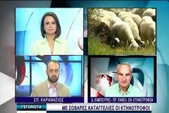 Αγωνιούν οι κτηνοτρόφοι - Θέλουν άμεσα συνάντηση με το Υπουργείο Αγροτικής Ανάπτυξης [video]