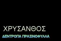 Για τους εραστές του Πόντου και της Ποντιακής Ιδέας