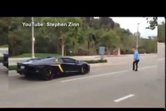 Μια βόλτα με το αυτοκίνητο του κόστισε ο κούκος αηδόνι  [video]