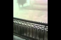 Ανυπολόγιστη καταστροφή στις Σέρρες από το χθεσινό χαλάζι [video]