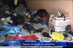 Σοκ στην Ανδραβίδα: Νεκρός 49χρονος Βούλγαρος ρακοσυλλέκτης [video]
