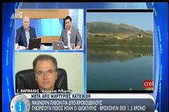 Αγωνία για τον Σήφη τον κροκόδειλο