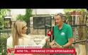 Πως θα πιάσουν τον Σήφη τον κροκόδειλο;