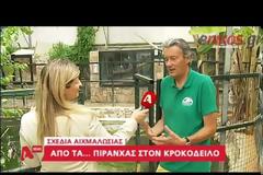 Πως θα πιάσουν τον Σήφη τον κροκόδειλο;