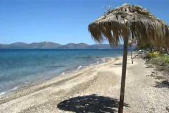 ΜΕΤΩΠΟ ΣΥΡΙΖΑ ΓΙΑ ΤΟΝ ΑΙΓΙΑΛΟ (VIDEO)
