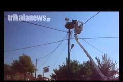 Επιχείρηση στο Κεφαλόβρυσο Τρικάλων για 3 μικρούς πελαργούς [photos + video]