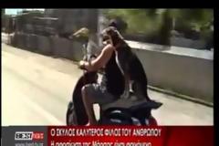 Μάρσα... Το σκυλί που κάνει βόλτες με το μηχανάκι! [video]