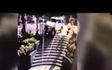 ΣΟΚΑΡΙΣΤΙΚΟ: Μητέρα και μωρό γλιτώνουν κυριολεκτικά απ΄ του χάρου τα δόντια... [video]