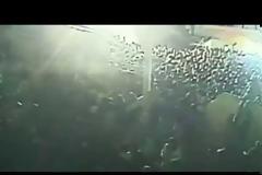ΒΙΝΤΕΟ ΣΟΚ: 24 άτομα ποδοπατήθηκαν μέχρι θανάτου σε συναυλία... [video]