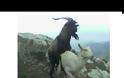 Ήρθε το 