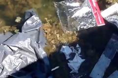 Αιτωλικό: Γέμισε η θάλασσα από σκουπίδια της λαϊκής