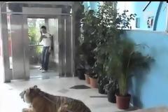 Όσες φορές και να το δείτε θα πεθαίνετε στα γέλια – Απίστευτη φάρσα