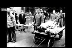Φωτογραφίες που μειναν στον χρόνο [video]