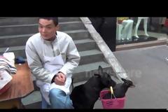 ΣΥΓΚΛΟΝΙΣΤΙΚΟ VIDEO: Μεταφέρει τον τραυματισμένο φίλο του καθημερινά! [video]